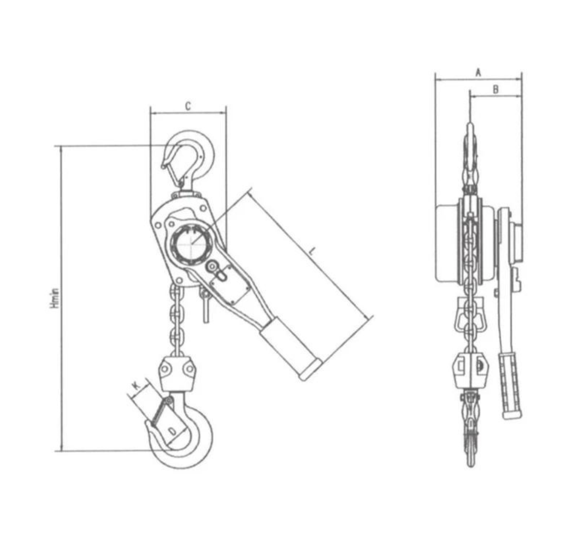 George Taylor GT Viper Lever Hoist