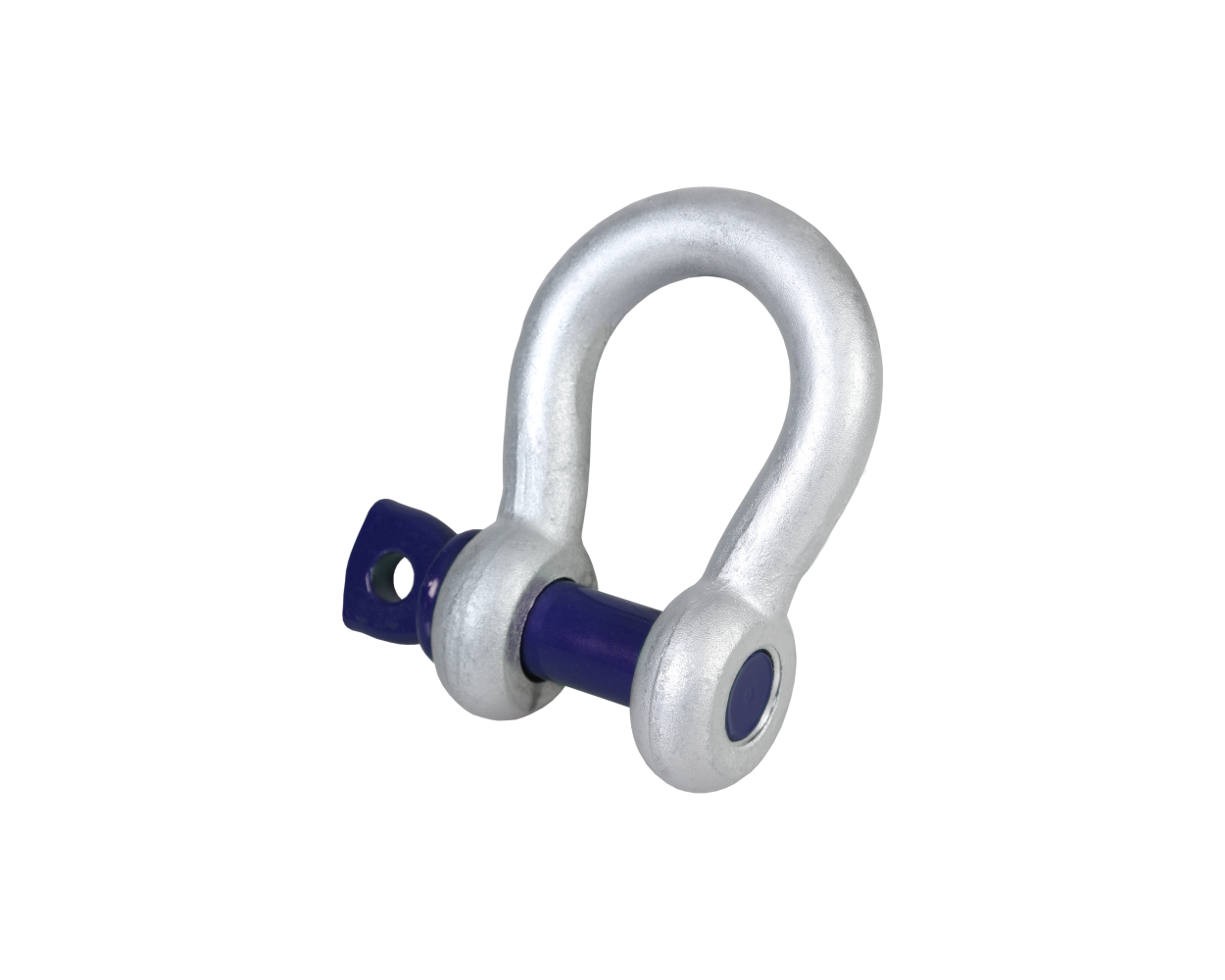 Blue Pin Standard Bow Shackles With Screw Pin