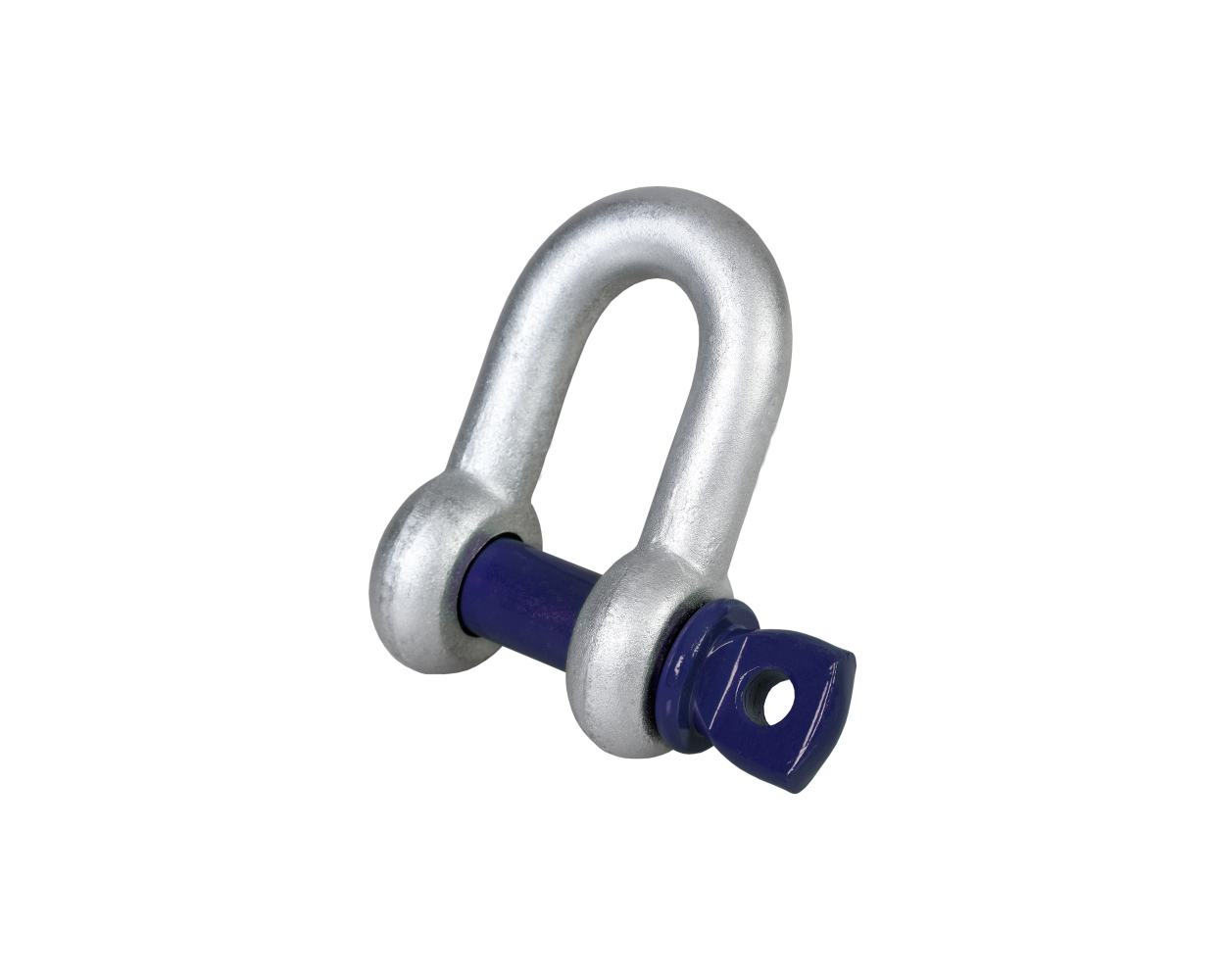 Blue Pin Standard Dee Shackles With Screw Pin
