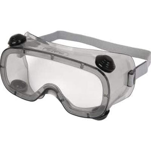 Delta Plus RUIZ 1 Safety Goggles (Pack of 10)