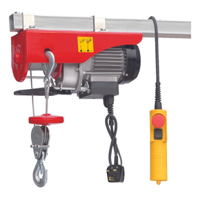 Economy Mini Electric Hoist