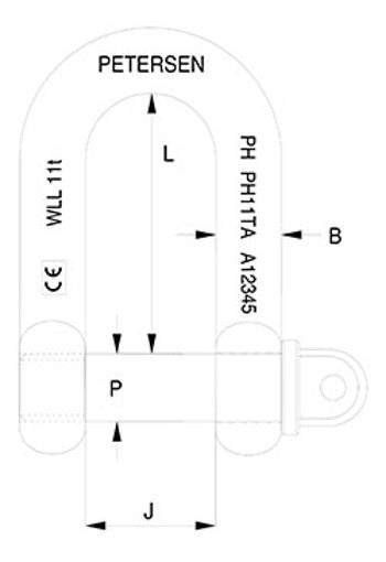 Stainless Steel D Shackles With Countersunk Pin Type B