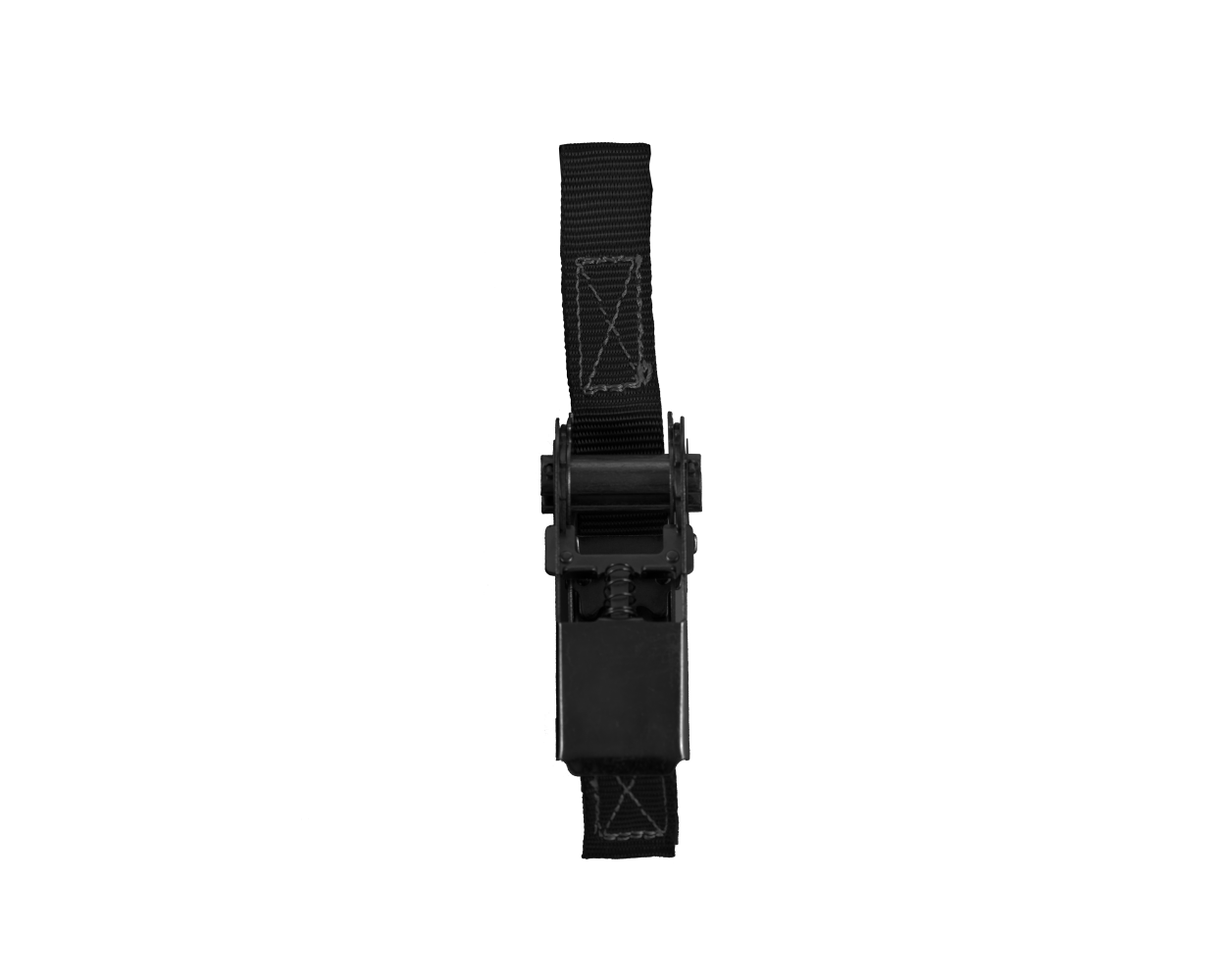 LashKing 50mm Endless Ratchet Lashing