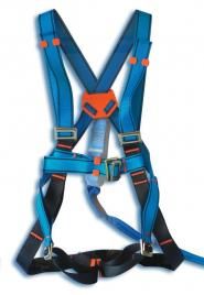 SAFETY HARNESS INSPECTION AND REPLACEMENT