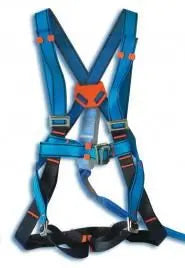SAFETY HARNESS INSPECTION & REPLACEMENT GUIDE LES - Lifting Equipment Store®