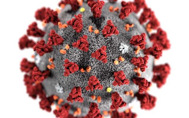 COVID-19 Business Update