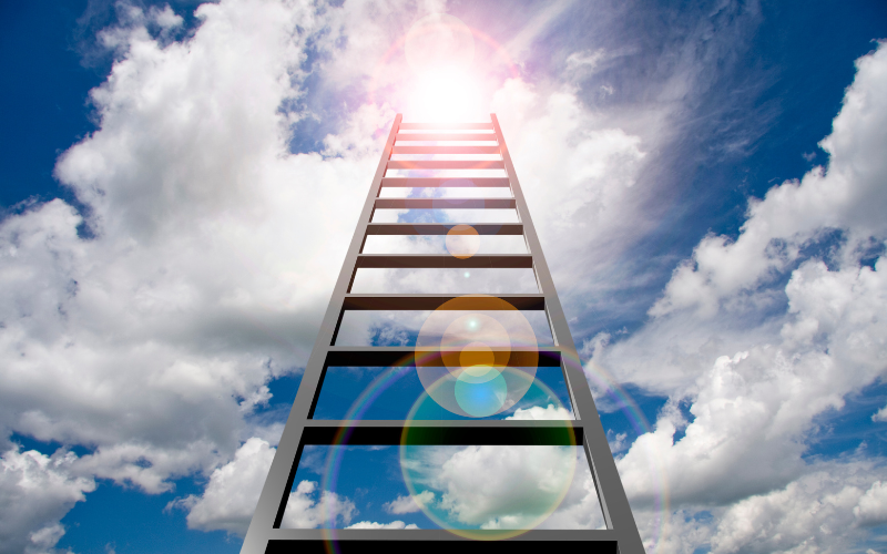 THE COMPLETE GUIDE TO TELESCOPIC LADDERS: FROM YOUR INDUSTRY EXPERTS LES - Lifting Equipment Store®