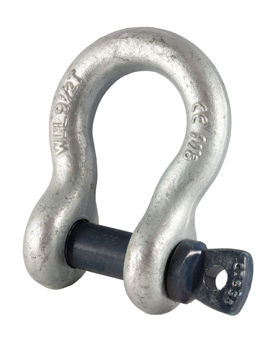 Blue Pin Standard Bow Shackles With Screw Pin