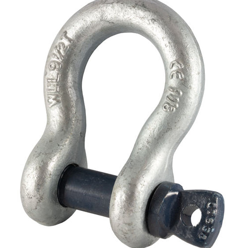 Blue Pin Standard Bow Shackles With Screw Pin