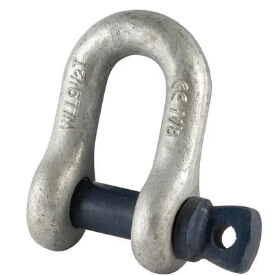 Blue Pin Standard Dee Shackles With Screw Pin George Taylor 