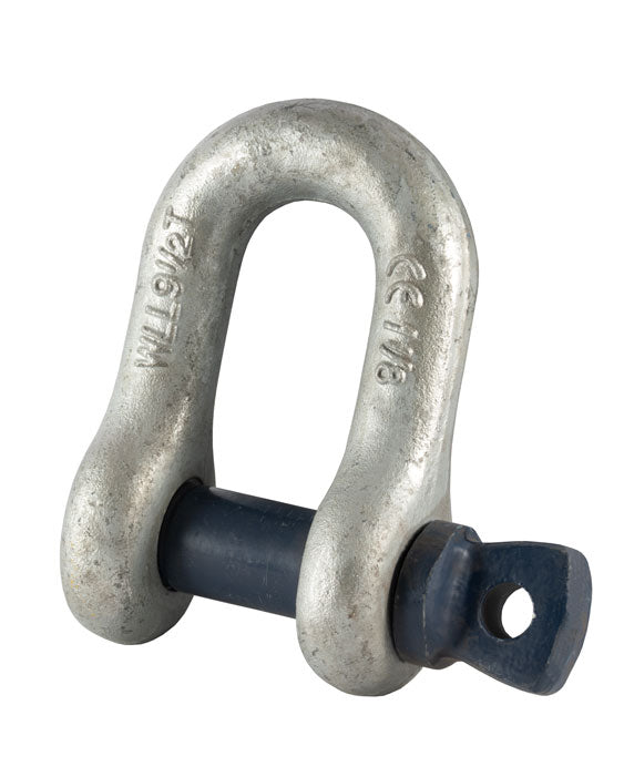 Blue Pin Standard Dee Shackles With Screw Pin George Taylor 