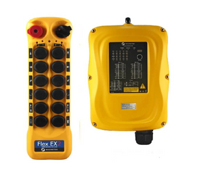 Magnetek Flex 12 WAVE Radio Control System