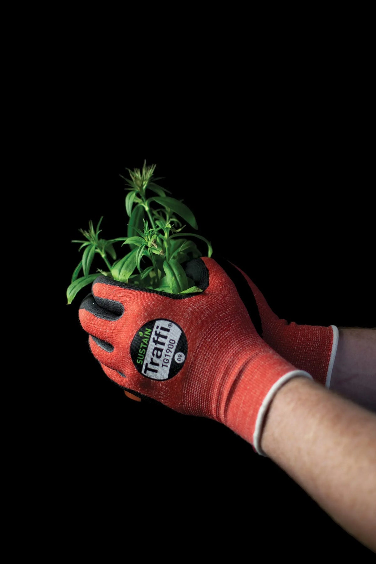 Traffi TG1900 Sustain rPET Biodegradable Cut Level A Safety Glove - Pack of 10 Traffi 