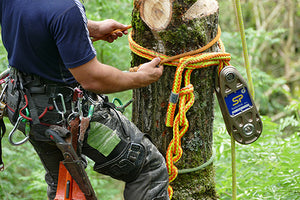 Straightpoint Arborist Load Cell Impact Block