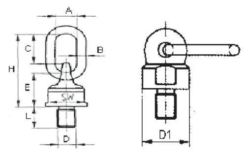 Cartec Hoist Ring Grade 100 Cartec 
