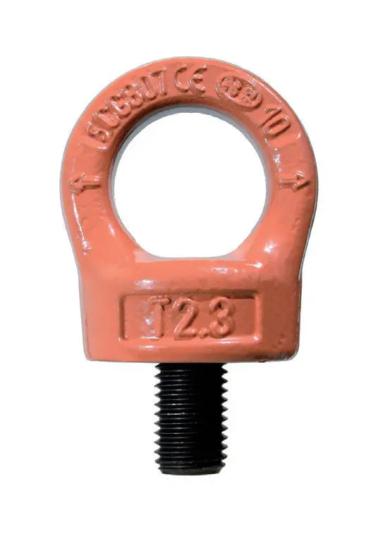 Cartec Swivel Eyebolt Grade 100 With Key Cartec 