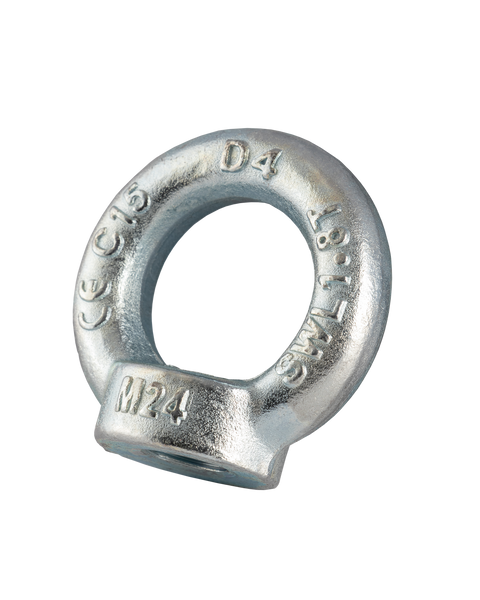 Electroplated Eyenut to DIN 582