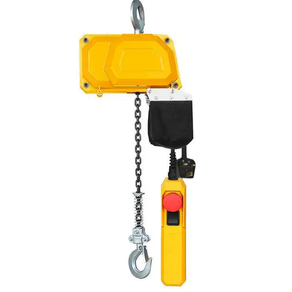 Economy Electric Chain Hoist LES - Lifting Equipment Store 