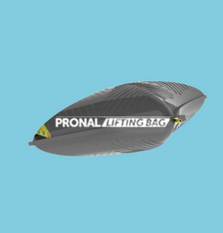 pronal brand logo